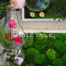Composition Florale Stabilisée L'envoutante Création Originale de Déco Végétale