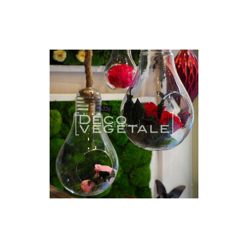 Composition florale stabilisée L'Envoutante – rose éternelle en ampoule verre Deco-Vegetale