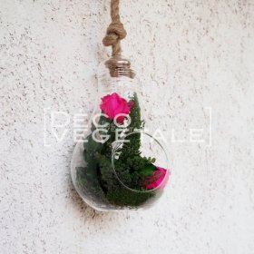Composition Florale Stabilisée L'envoutante Création Originale de Déco Végétale