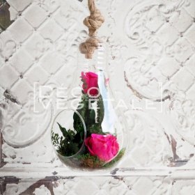 Composition Florale Stabilisée L'envoutante Création Originale de Déco Végétale