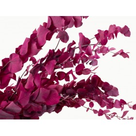 feuillage stabilisé couleur tendance