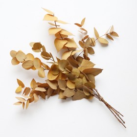eucalyptus stabilisé stuartiana jaune