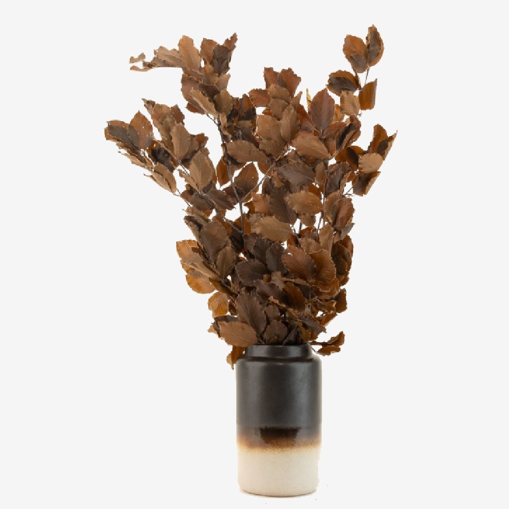 Bouquet de hêtre stabilisé moka - feuillage naturel stabilisé - décoration intérieure - Deco-Vegetale