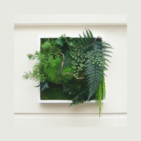 Tableau végétal stabilisé GREEN FALL feuillages naturels stabilisés  décoration murale intérieure