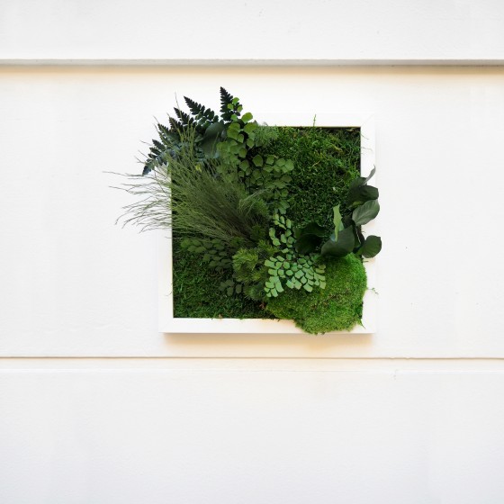 Tableau végétal stabilisé INNUENDO — plantes naturelles stabilisées — décoration murale — Deco-Vegetale