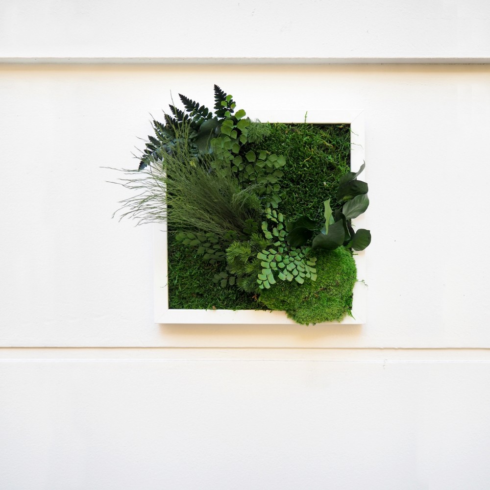 Tableau végétal stabilisé INNUENDO — plantes naturelles stabilisées — décoration murale — Deco-Vegetale