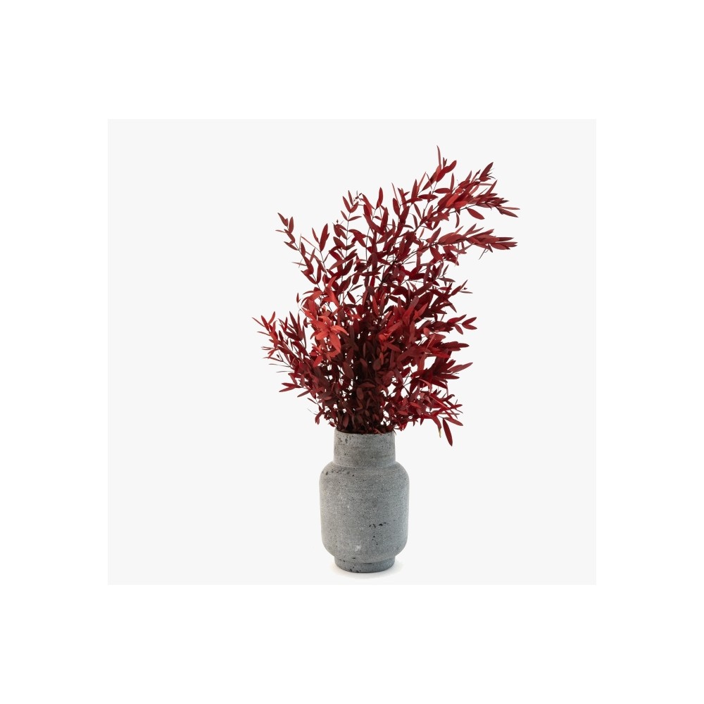 Bouquet de parvifolia stabilisé rouge - feuillage naturel stabilisé - Deco-Vegetale