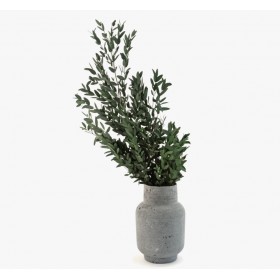 Bouquet de parvifolia stabilisé vert - feuillage naturel stabilisé - Deco-Vegetale