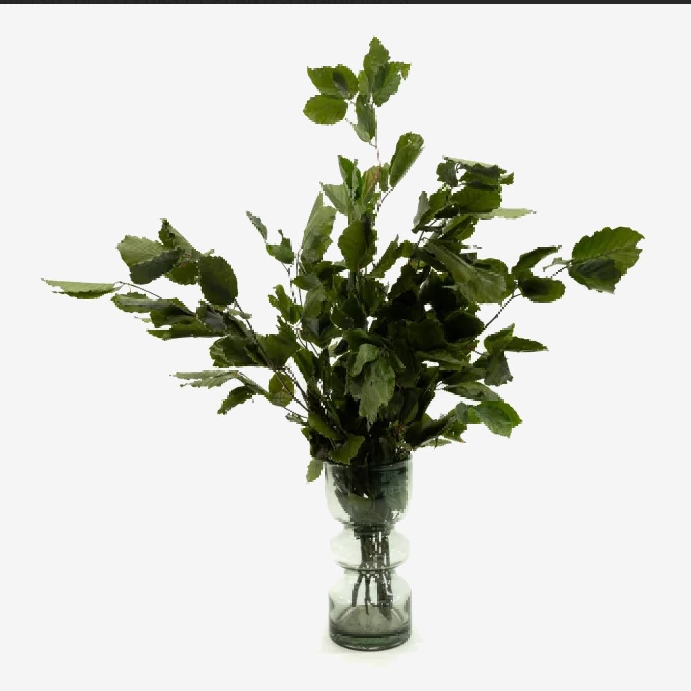 Bouquet de hêtre vert stabilisé - feuillage naturel stabilisé - décoration intérieure - Deco-Vegetale