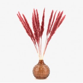 Bouquet de 15 mini pampa séchée magenta – composition florale séchée Deco-Vegetale