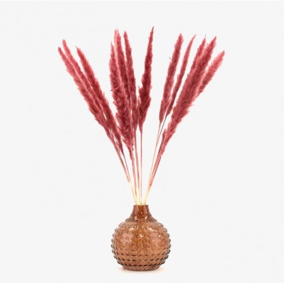 Bouquet de 15 mini pampa séchée magenta – composition florale séchée Deco-Vegetale