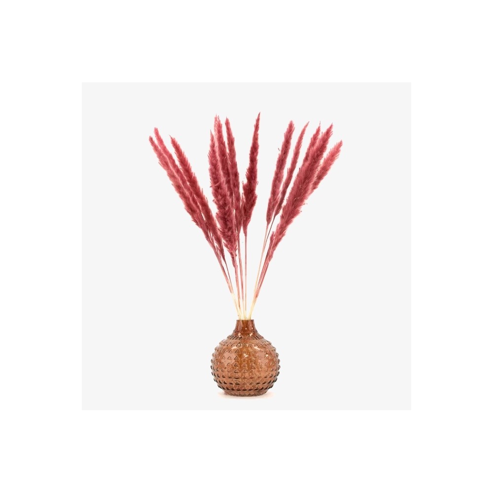 Bouquet de 15 mini pampa séchée magenta – composition florale séchée Deco-Vegetale