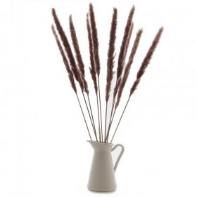 Bouquet de 15 mini pampa séchée brun chocolat – décoration bohème Deco-Vegetale