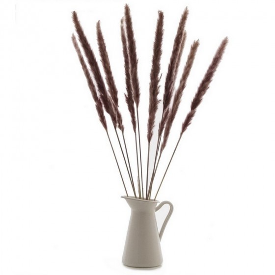 Bouquet de 15 mini pampa séchée brun chocolat – décoration bohème Deco-Vegetale