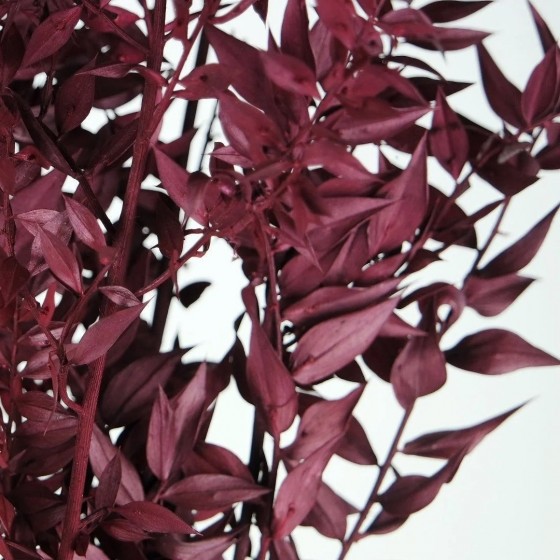 Bouquet de ruscus stabilisé berry - feuillage naturel stabilisé - Deco-Vegetale