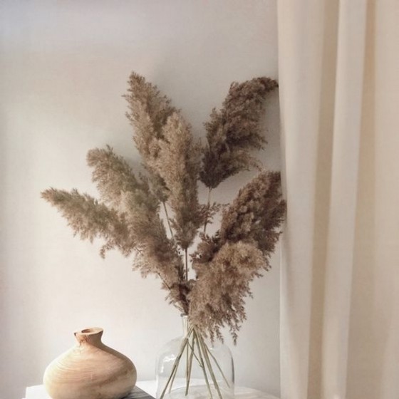 Bouquet de 5 tiges de pampa séchée beige naturel – fleurs séchées Deco-Vegetale