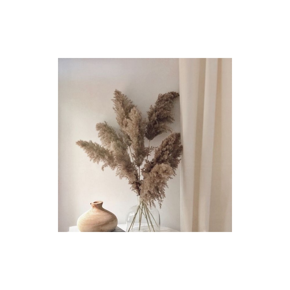 Bouquet de 5 tiges de pampa séchée beige naturel – fleurs séchées Deco-Vegetale