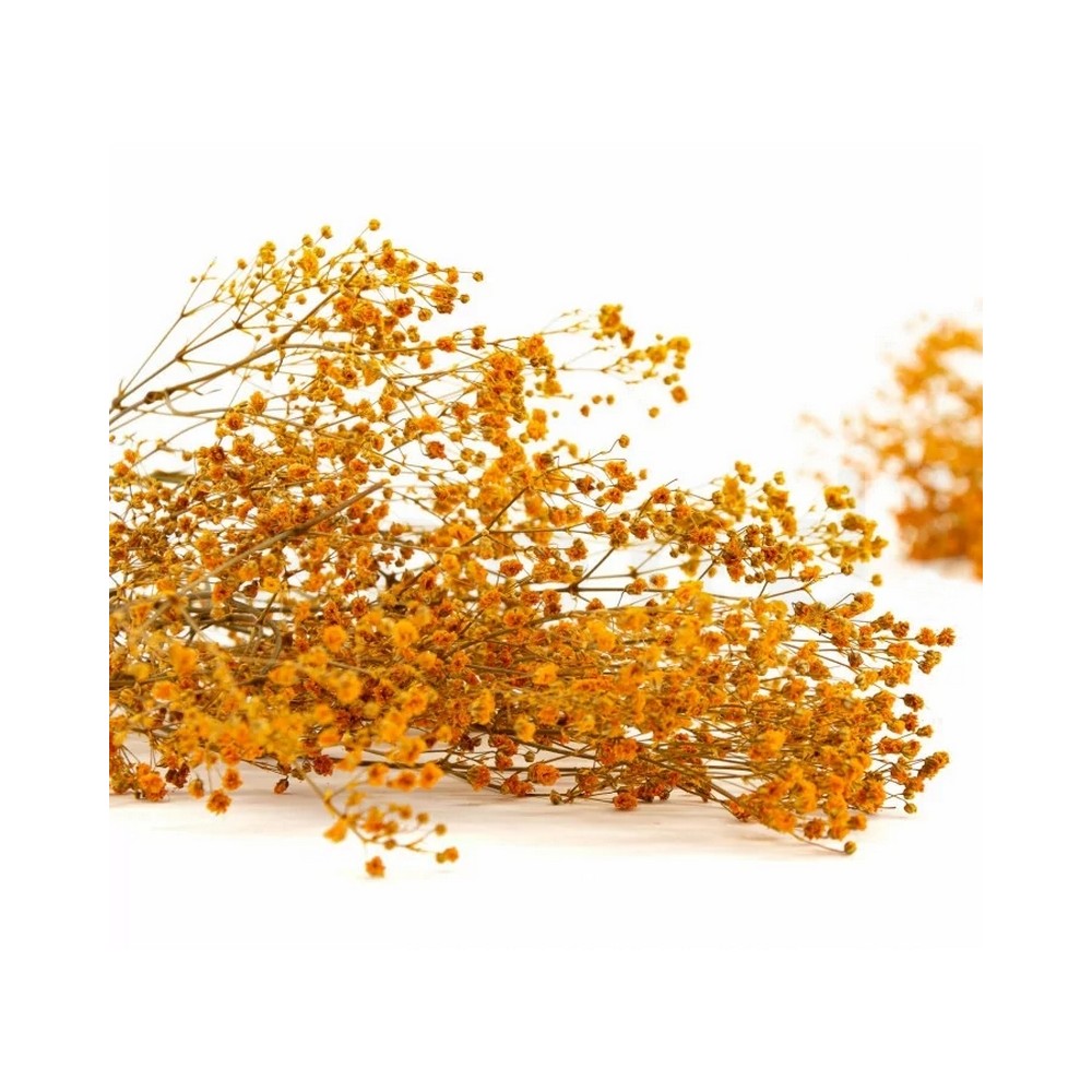 Bouquet de gypsophile stabilisé orange - fleurs naturelles stabilisées - décoration intérieure - Deco-Vegetale