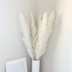 Bouquet de 5 pampa séchée blanc crème – composition florale séchée Deco-Vegetale