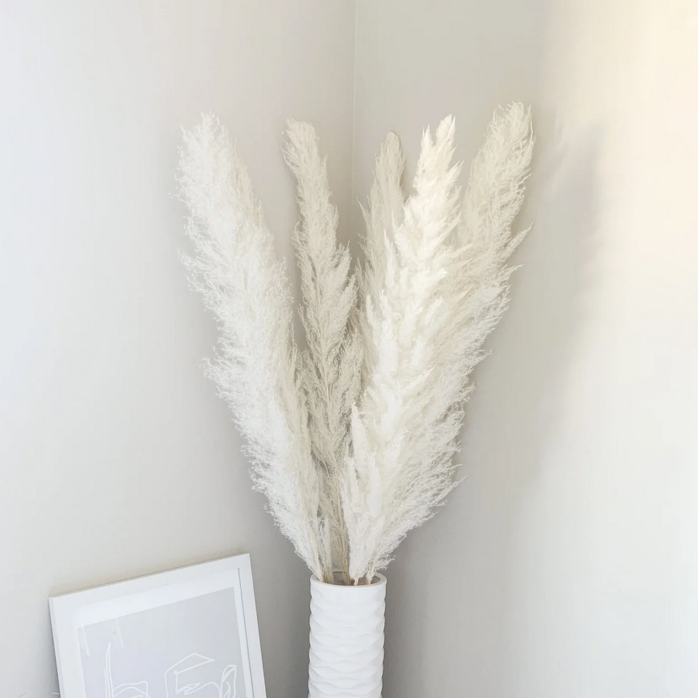 Bouquet de 5 pampa séchée blanc crème – composition florale séchée Deco-Vegetale