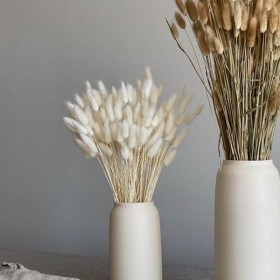 Bouquet de lagurus séché blanc – épis duveteux déco naturelle Deco-Vegetale