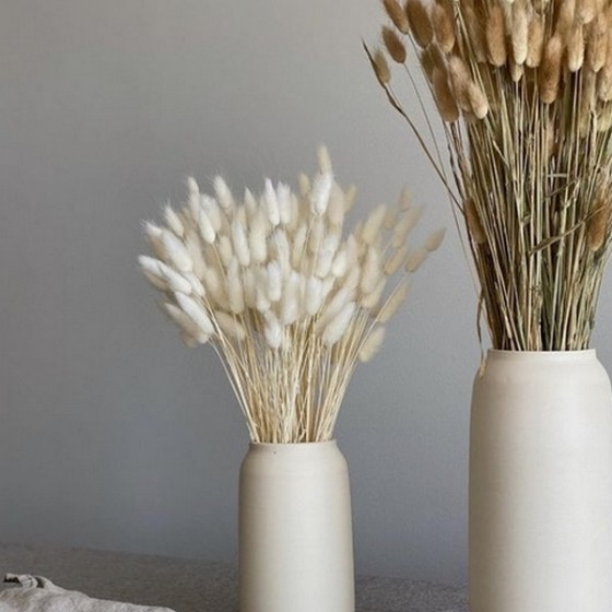 Bouquet de lagurus séché blanc – épis duveteux déco naturelle Deco-Vegetale
