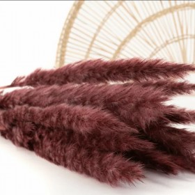 Bouquet de 15 mini pampa séchée bordeaux – toucher duveteux automne Deco-Vegetale