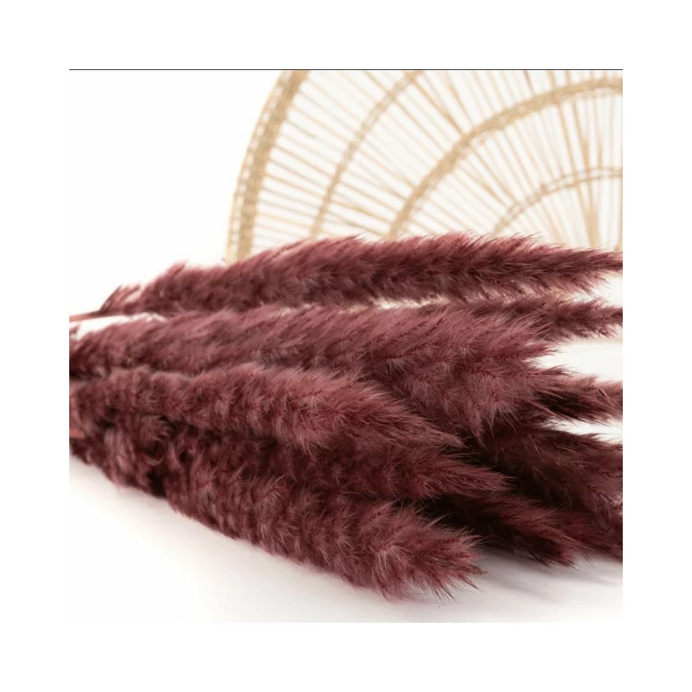 Bouquet de 15 mini pampa séchée bordeaux – toucher duveteux automne Deco-Vegetale
