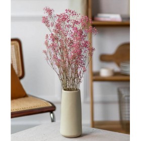feuillage stabilisé gypsophile grenadine