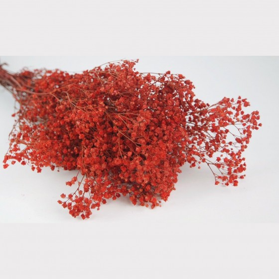Bouquet de gypsophile stabilisé rouge - fleurs naturelles stabilisées - décoration intérieure - Deco-Vegetale