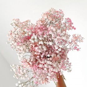 feuillage stabilisé gypsophile rose