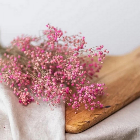 Bouquet de gypsophile stabilisé grenadine - fleurs naturelles stabilisées - Deco-Vegetale