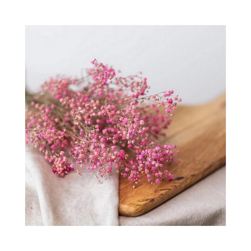 Bouquet de gypsophile stabilisé grenadine - fleurs naturelles stabilisées - Deco-Vegetale
