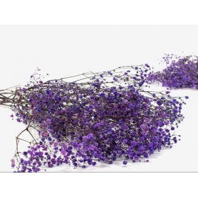 feuillage stabilisé gypsophile lavande