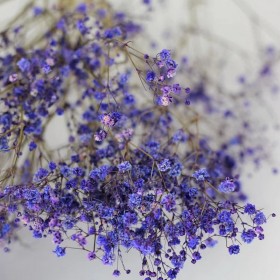 Bouquet de gypsophile stabilisé lavande - fleurs naturelles stabilisées - décoration intérieure - Deco-Vegetale
