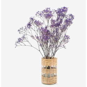 feuillage stabilisé gypsophile lavande