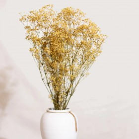 Bouquet de gypsophile stabilisé jaune - fleurs naturelles stabilisées - décoration intérieure - Deco-Vegetale