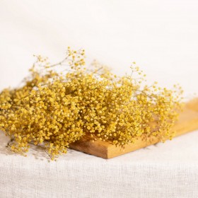 feuillage stabilisé gypsophile jaune