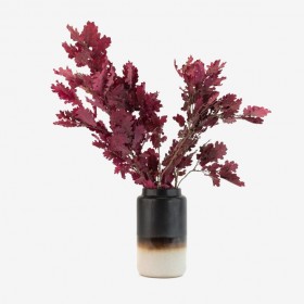 Bouquet de chêne stabilisé framboise - feuillage naturel stabilisé - décoration intérieure - Deco-Vegetale