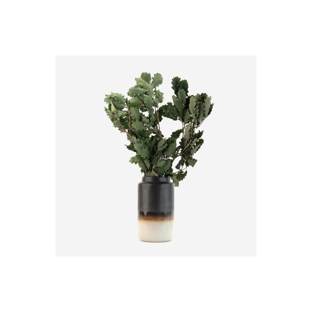 Bouquet de chêne stabilisé vert - feuillage naturel stabilisé - décoration intérieure - Deco-Vegetale