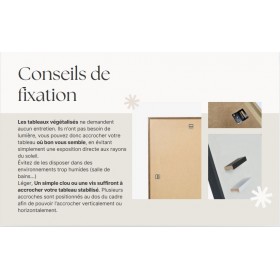 Notice illustrée expliquant comment fixer facilement le tableau végétal au mur
