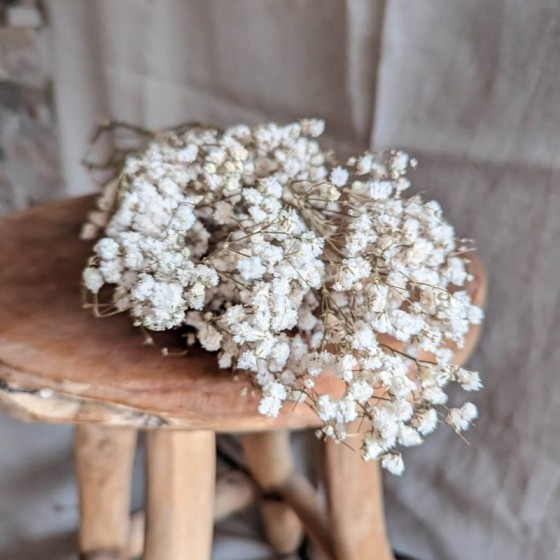 Bouquet de gypsophile stabilisé blanc - fleurs naturelles stabilisées - décoration intérieure - Deco-Vegetale