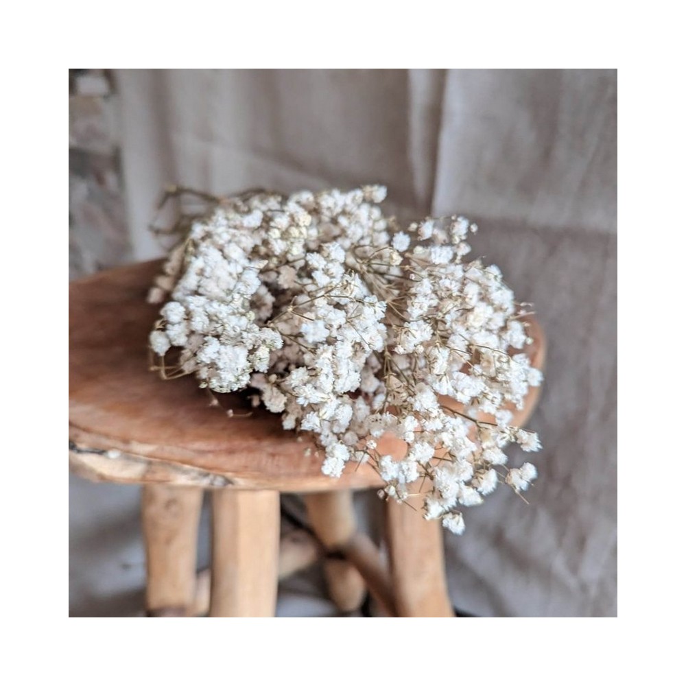 Bouquet de gypsophile stabilisé blanc - fleurs naturelles stabilisées - décoration intérieure - Deco-Vegetale