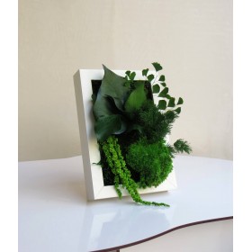 Petit cadre de plantes stabilisées SWEET posé sur un meuble bambi ibride