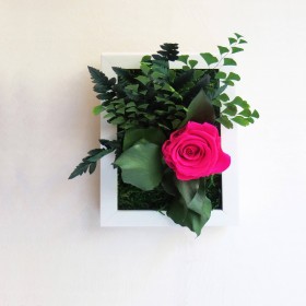 Cadre végétal stabilisé SWEET BIRD avec rose fuchsia et feuillage