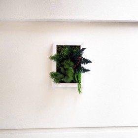 Petit tableau végétal moderne SWEET GREEN installé sur un mur blanc