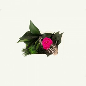 Tableau vegetal cadre blanc avec rose stabilisee fuchsia et feuillage naturel