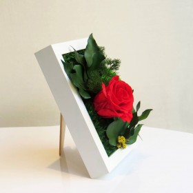 vue de profil du cadre végétal stabilisé SWEET ROSE blanc avec rose rouge éternelle