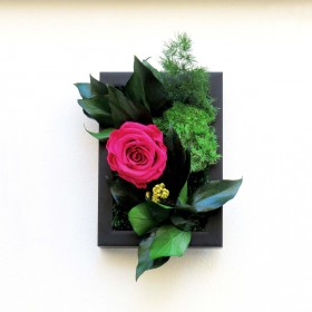 Petit cadre végétal noir SWEET ROSE avec rose fuchsia stabilisée