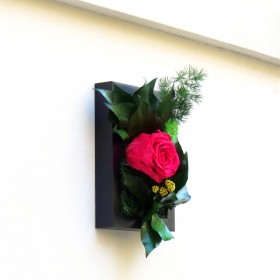 Décoration murale végétale moderne SWEET ROSE fixée au mur